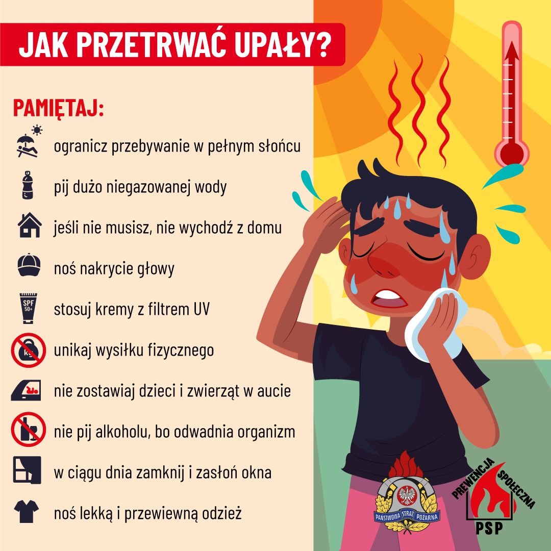 515237136_1026216459684175_834763377421985584_n