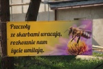 Zdjęcie nr 4 z 12