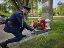 Zdjęcie nr 11 z 12