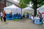Zdjęcie nr 8 z 24