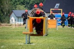 Zdjęcie nr 20 z 172