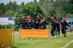 Zdjęcie nr 34 z 172