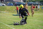Zdjęcie nr 48 z 172