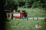Zdjęcie nr 3 z 15