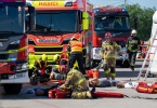 Zdjęcie nr 11 z 13