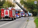 Zdjęcie nr 2 z 6