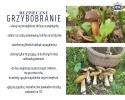 Zdjęcie nr 1 z 2