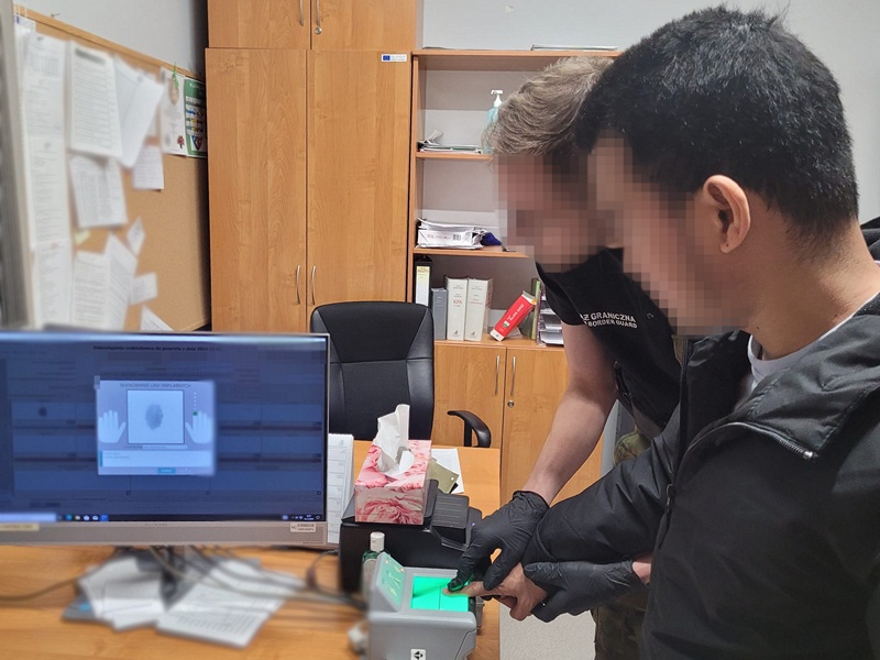 Napadł na żąbola – konsekwencją będzie deportacja