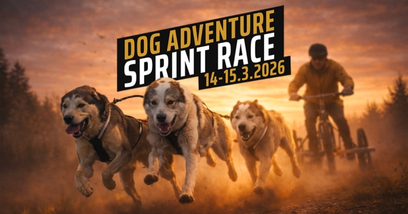 Sportowe emocje, psy i adrenalina – Dog Adventure Sprint Race