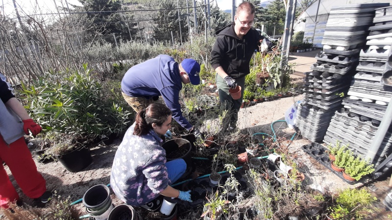 Uczniowie Zespołu Szkół nr 6 w Rybniku na praktykach ogrodniczych w Grecji