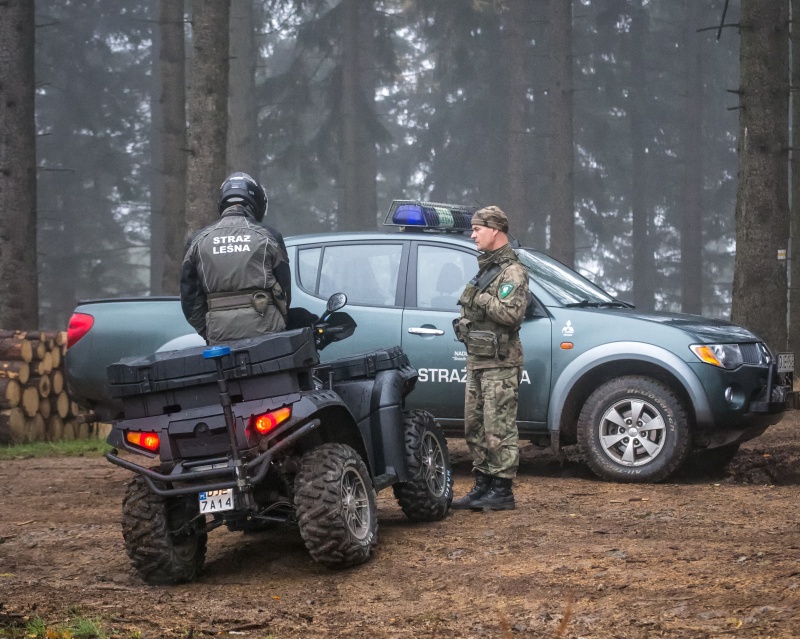 Bezpieczna jesień w polskich lasach. Straż Leśna rozpoczyna akcję JESIEŃ 26