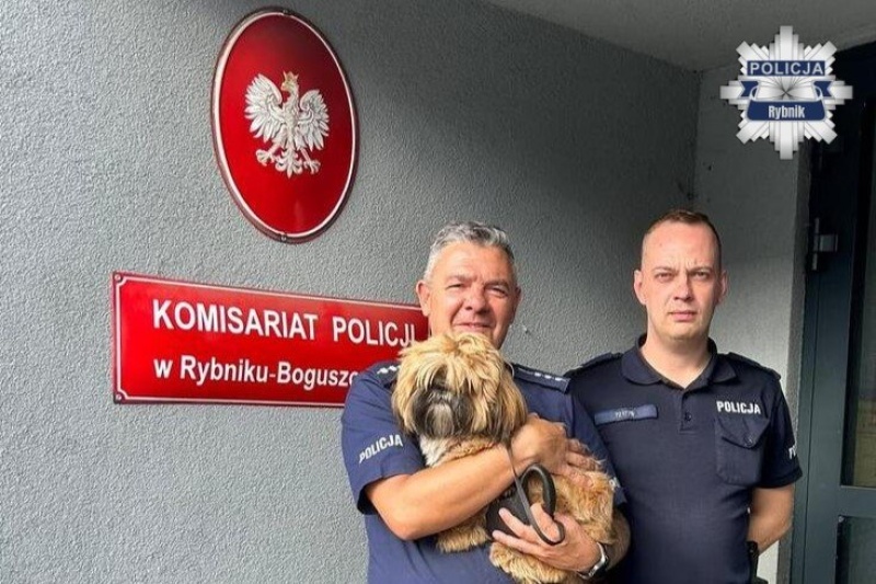 Pies był przywiązany do drzewa w lesie. Pomogli mu dzielnicowi