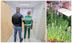 Rybnicki zielarz wpadł w ręce policji - Serwis informacyjny z Raciborza - naszraciborz.pl