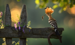 To nie sztuczna inteligencja (AI), to Obrazy Lasu - nowa kampania Lasów Państwowych - Serwis informacyjny z Raciborza - naszraciborz.pl