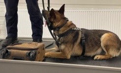 Czworonożni strażnicy graniczni, żołnierze i policjanci szkolili się w Chorzowie - Serwis informacyjny z Raciborza - naszraciborz.pl