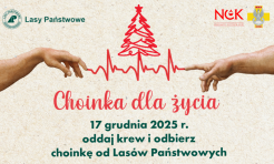 Choinka dla życia: podaruj krew, odbierz świąteczne drzewko - Serwis informacyjny z Raciborza - naszraciborz.pl