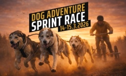 Sportowe emocje, psy i adrenalina – Dog Adventure Sprint Race - Serwis informacyjny z Raciborza - naszraciborz.pl