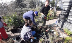 Uczniowie Zespołu Szkół nr 6 w Rybniku na praktykach ogrodniczych w Grecji - Serwis informacyjny z Raciborza - naszraciborz.pl