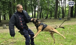 Policjanci na Dniu Dziecka w Czerwionce-Leszczynach. Nauka i zabawa w parku Furgoła - Serwis informacyjny z Raciborza - naszraciborz.pl