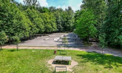 Rybnik zazieleni się na nowo. Prawie 6 mln zł na drzewa, krzewy i ochronę przyrody - Serwis informacyjny z Raciborza - naszraciborz.pl