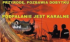 Wypalanie traw surowo zabronione! - Serwis informacyjny z Wodzisławia Śląskiego - naszwodzislaw.com
