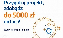 Program Fundusz Inicjatyw Obywatelskich – Śląskie Lokalnie - Serwis informacyjny z Wodzisławia Śląskiego - naszwodzislaw.com