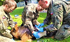 Śląscy terytorialsi uczą się jak pomagać psim żołnierzom - Serwis informacyjny z Wodzisławia Śląskiego - naszwodzislaw.com
