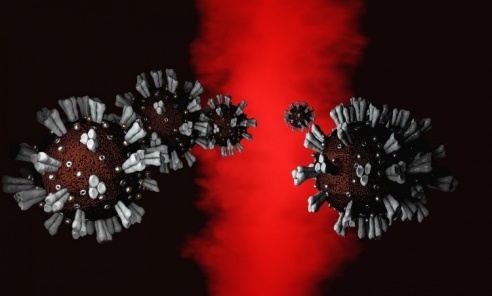 Wirus SARS-CoV-2 może docierać do mózgu przez nos  - Serwis informacyjny z Wodzisławia Śląskiego - naszwodzislaw.com