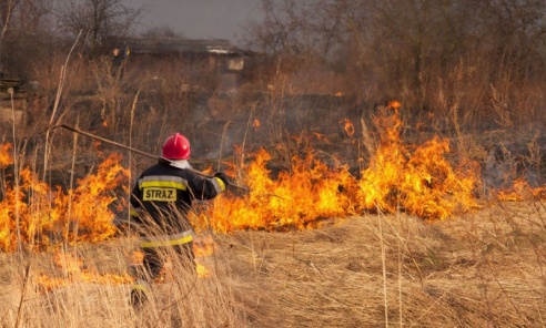Wypalanie traw jest nielegalne. Alarmuj, reaguj! - Serwis informacyjny z Wodzisławia Śląskiego - naszwodzislaw.com