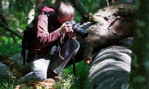 Sztuka fotografowania przyrody - darmowy poradnik od Lasów Państwowych - Serwis informacyjny z Wodzisławia Śląskiego - naszwodzislaw.com