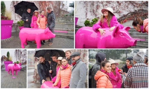Różowa świnia zaprasza do zdjęcia [FOTO] - Serwis informacyjny z Wodzisławia Śląskiego - naszwodzislaw.com