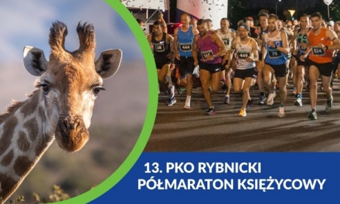 Rybnicki festiwal biegowy już w czerwcu - Serwis informacyjny z Wodzisławia Śląskiego - naszwodzislaw.com