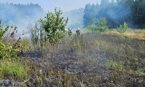 Pożar trawy w Bogunicach - Serwis informacyjny z Wodzisławia Śląskiego - naszwodzislaw.com