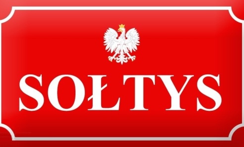 Mieszkańcy Książenic i Przegędzy wybrali sołtysów - Serwis informacyjny z Wodzisławia Śląskiego - naszwodzislaw.com
