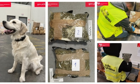 Czworonożny funkcjonariusz Kodi ujawnił przemyt - Serwis informacyjny z Wodzisławia Śląskiego - naszwodzislaw.com