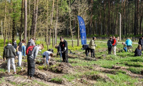 Blisko 2500 nowych drzew w Rybniku w ramach akcji Lasy Pełne Energii - Serwis informacyjny z Wodzisławia Śląskiego - naszwodzislaw.com
