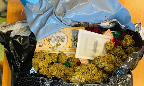 Grasz w zielone? Marihuana w popularnej grze planszowej - Serwis informacyjny z Wodzisławia Śląskiego - naszwodzislaw.com