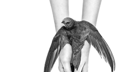 Zaproszenie na wernisaż wystawy Wszystko w naszych rękach - Serwis informacyjny z Wodzisławia Śląskiego - naszwodzislaw.com