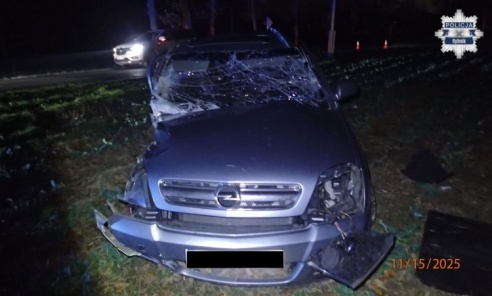 Nietrzeźwy kierujący z dożywotnim zakazem uderzył w drzewo. Trafił do aresztu - Serwis informacyjny z Rybnika - naszraciborz.pl