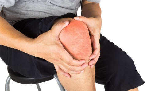 Mięśnie i stawy - czym są i jakie mają zadania w organizmie? - Serwis informacyjny z Rybnika - naszraciborz.pl