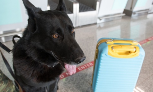 Weekend na lotnisku w Katowicach-Pyrzowicach - Serwis informacyjny z Wodzisławia Śląskiego - naszwodzislaw.com