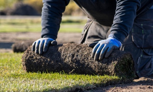 Jak przygotować działkę pod trawę z rolki zimą i wczesną wiosną - Serwis informacyjny z Rybnika - naszraciborz.pl