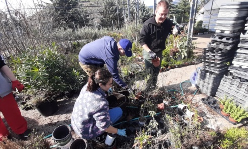 Uczniowie Zespołu Szkół nr 6 w Rybniku na praktykach ogrodniczych w Grecji - Serwis informacyjny z Wodzisławia Śląskiego - naszwodzislaw.com