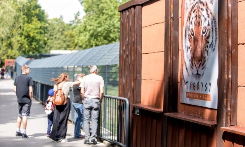Dream Night – Wieczór Marzeń w ZOO w Chorzowie - Serwis informacyjny z Wodzisławia Śląskiego - naszwodzislaw.com
