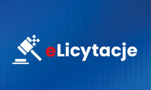 Portal eLicytacje KAS – ogłoszenia o sprzedażach egzekucyjnych, licytacje i sprzedaż ruchomości, które przepadły na rzecz Skarbu Państwa - Serwis informacyjny z Wodzisławia Śląskiego - naszwodzislaw.com