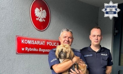 Pies był przywiązany do drzewa w lesie. Pomogli mu dzielnicowi - Serwis informacyjny z Wodzisławia Śląskiego - naszwodzislaw.com