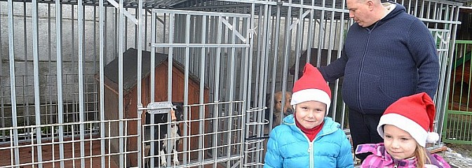 Przedszkole pomaga bezdomnym zwierzętom - Serwis informacyjny z Wodzisławia Śląskiego - naszwodzislaw.com