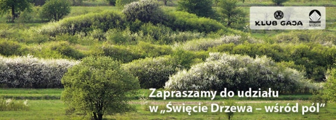 Święto Drzewa - wśród pól  - Serwis informacyjny z Wodzisławia Śląskiego - naszwodzislaw.com