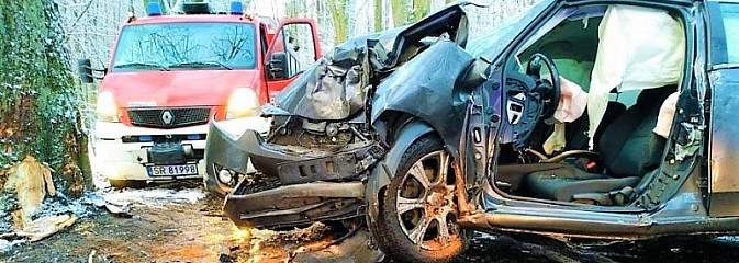 W Palowicach samochód uderzył w drzewo - Serwis informacyjny z Wodzisławia Śląskiego - naszwodzislaw.com