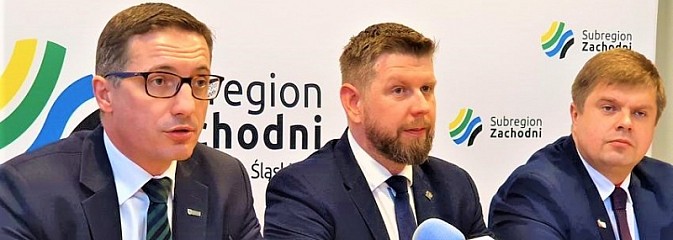 Prawie 4,5 miliona złotych na OZE dla Rybnika - Serwis informacyjny z Wodzisławia Śląskiego - naszwodzislaw.com